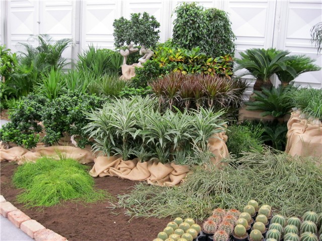 Flora art 2011
